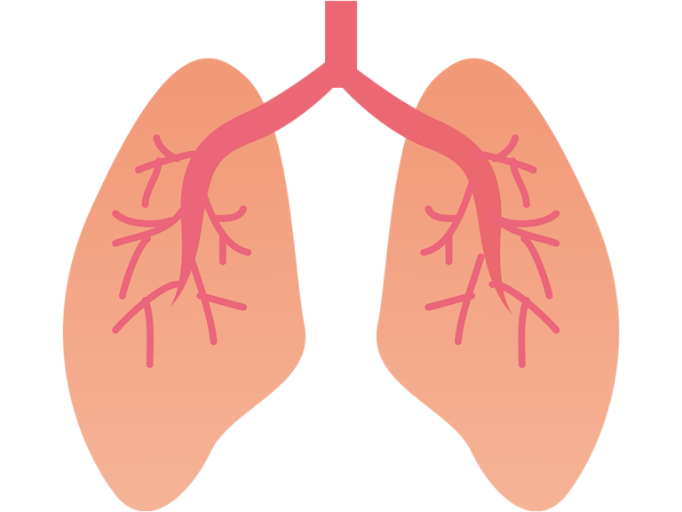 肺気腫の見通し
